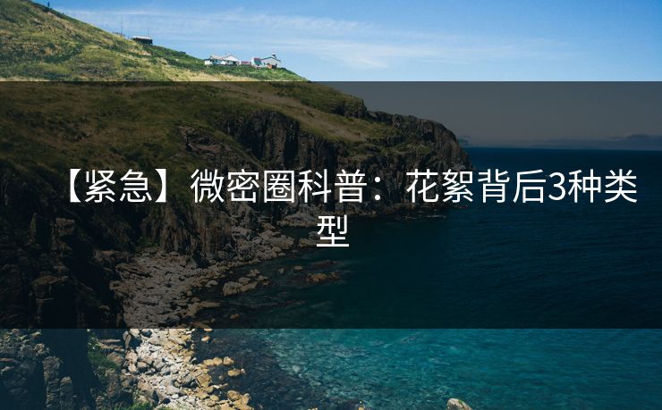 【紧急】微密圈科普：花絮背后3种类型